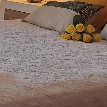 Romero Valencia Apartment Benicull